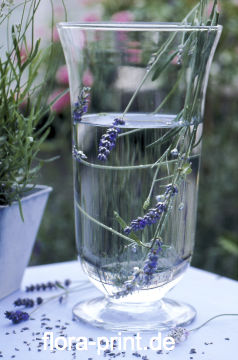 Lavendelwasser01.jpg